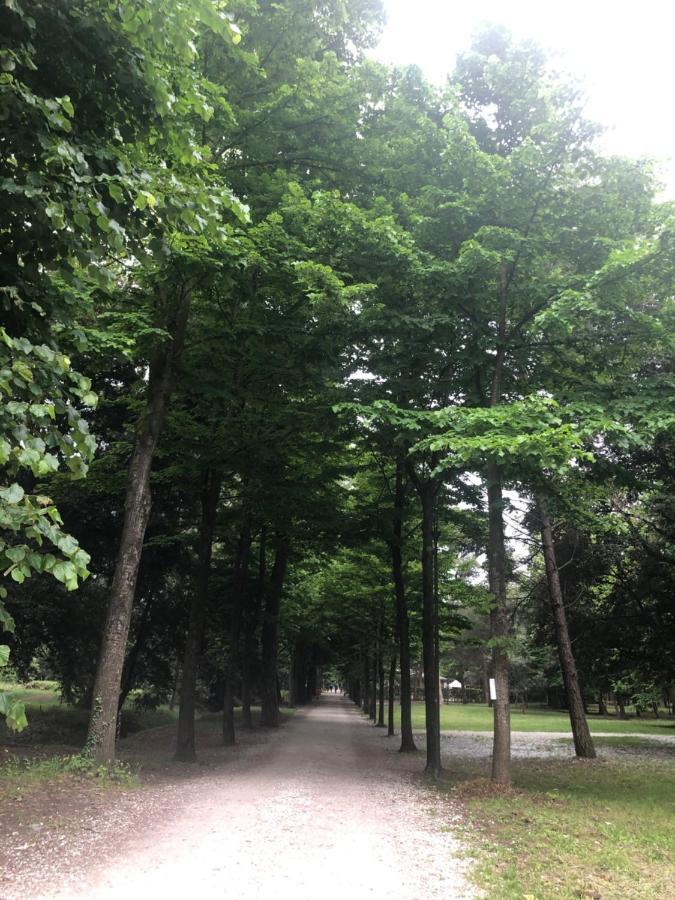 Riva Dei Fiori Daire Viareggio Dış mekan fotoğraf
