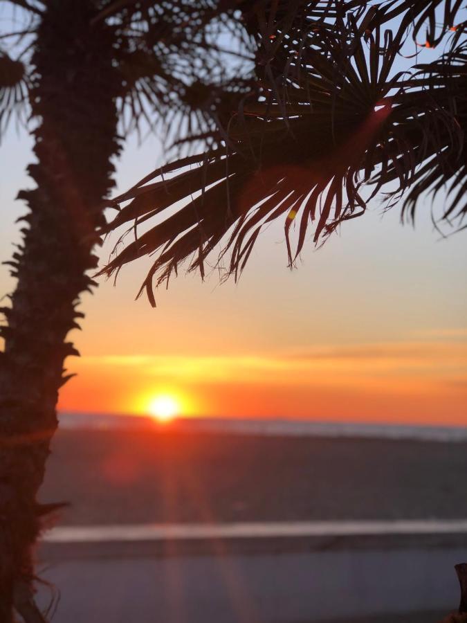Riva Dei Fiori Daire Viareggio Dış mekan fotoğraf